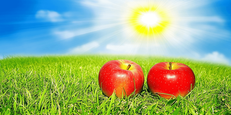 u1221652487 Frische Frchte pfel Beeren in warmem Sonnenlicht  d9f531e2 e99c 45f9 b1c4 dbd0334a27d8 2 768x384